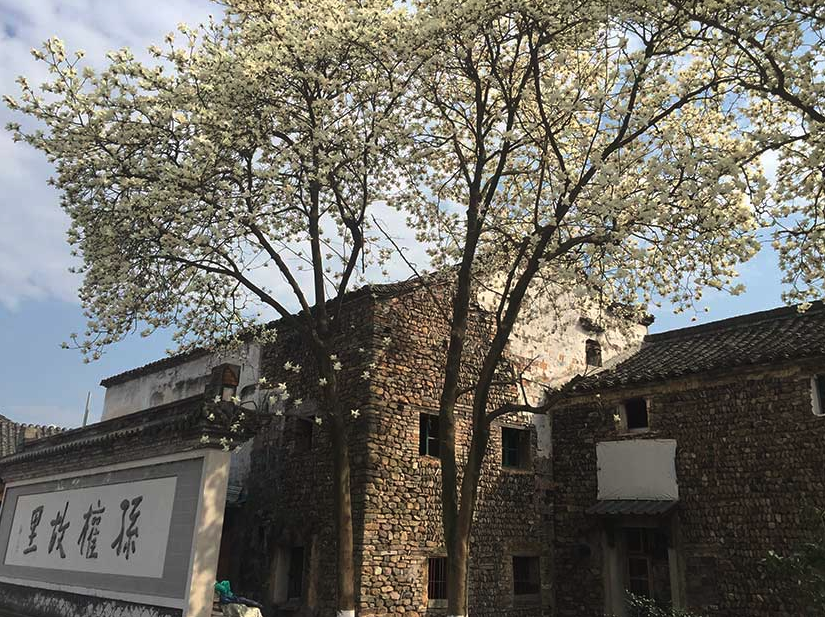 舌头伸进去添的我好爽