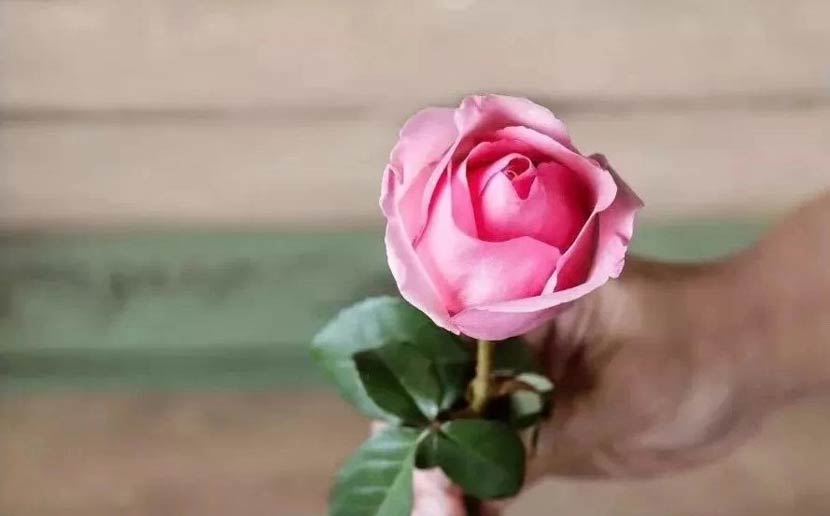 舌头伸进去添的我好爽